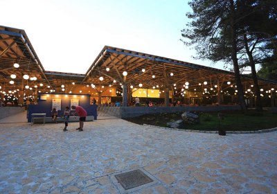 Pine Beach Pakostane in Pakostane