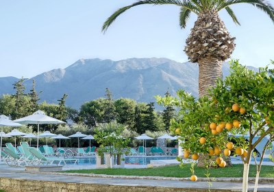 Vardis Olive Garden in Georgioupoli