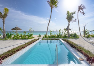 Joy Island in Joy Island