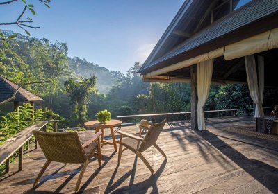 Rainforest Pool Bale