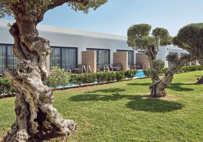 Wohnbeispiel Luxury Suite Swim Up