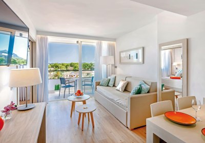 Wohnbeispiel Appartement 1 Schlafzimmer