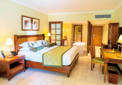 Wohnbeispiel Deluxe Room