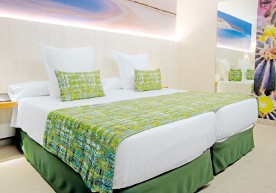 FERGUS Cactus Garden