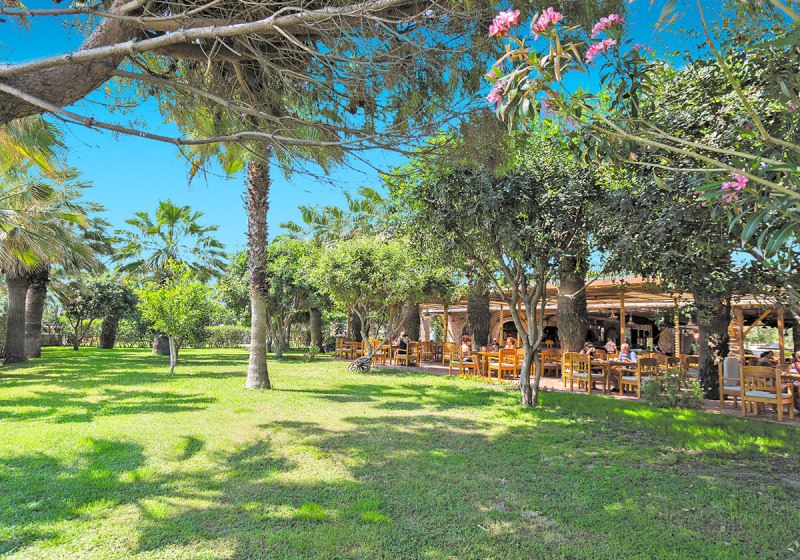 Beispiel: Kulinarik & Restaurants
