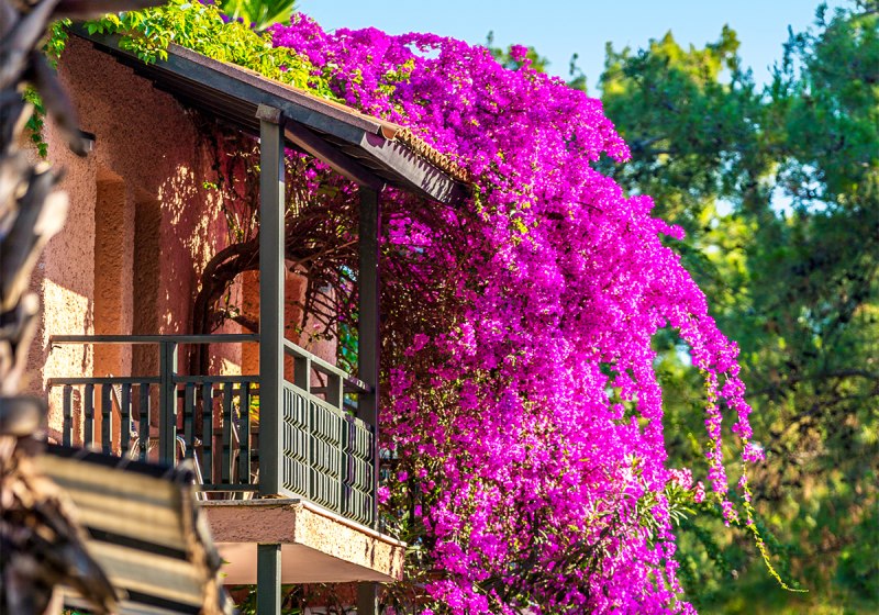 Aussenaufnahme Hotel