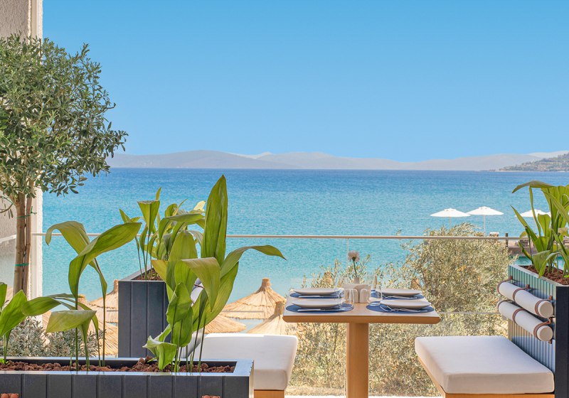 Beispiel: Kulinarik & Restaurants