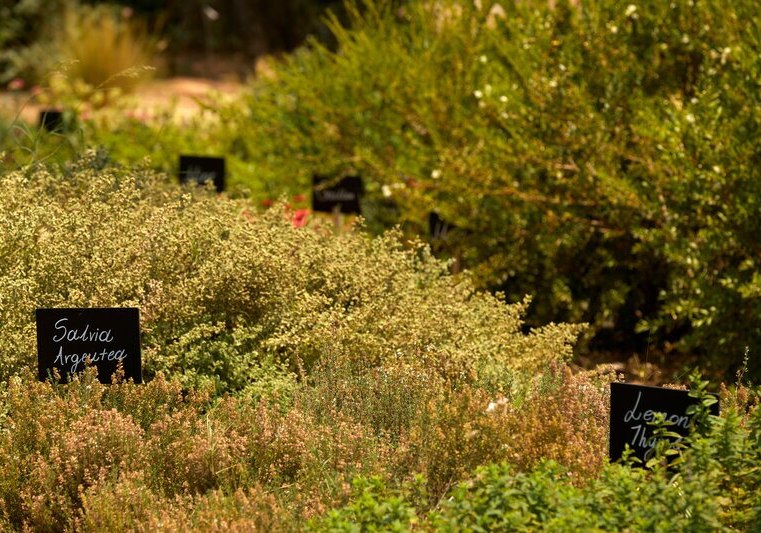 Kulinarik & Restaurants