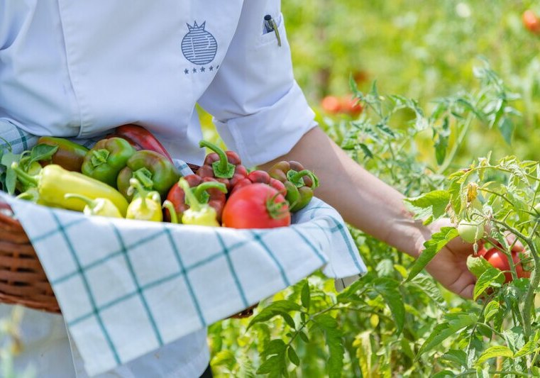 Kulinarik & Restaurants