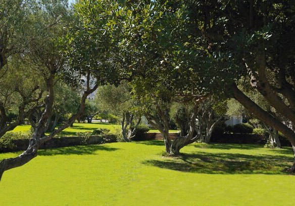 Kulinarik & Restaurants