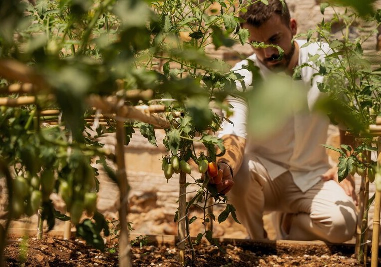 Kulinarik & Restaurants