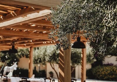 Kulinarik & Restaurants