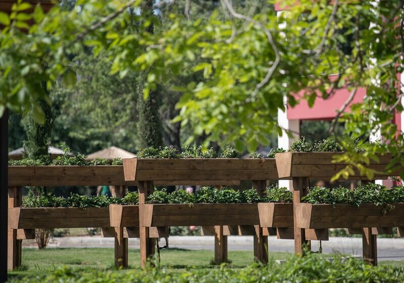 Kulinarik & Restaurants