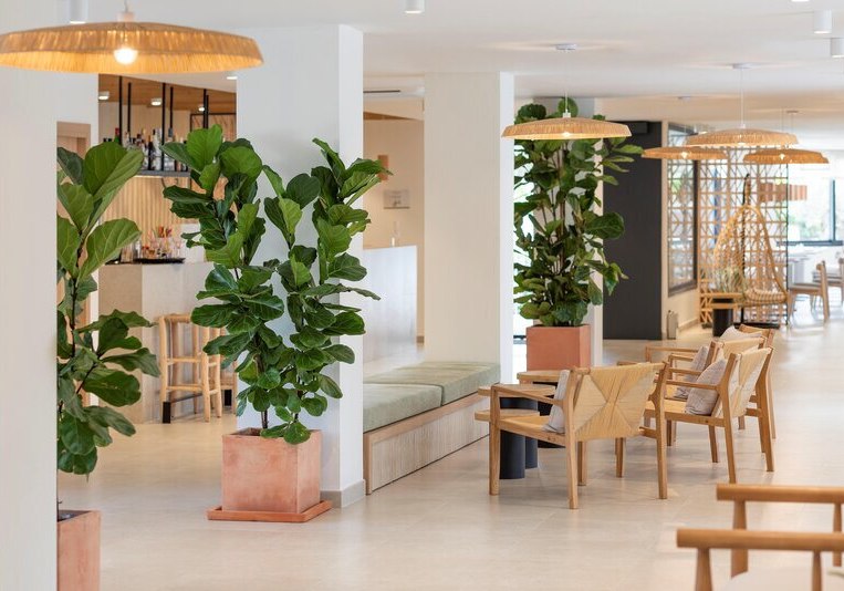 Ausstattung & Service