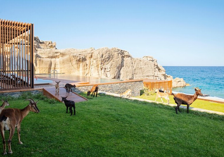 Unterhaltung & Entertainment