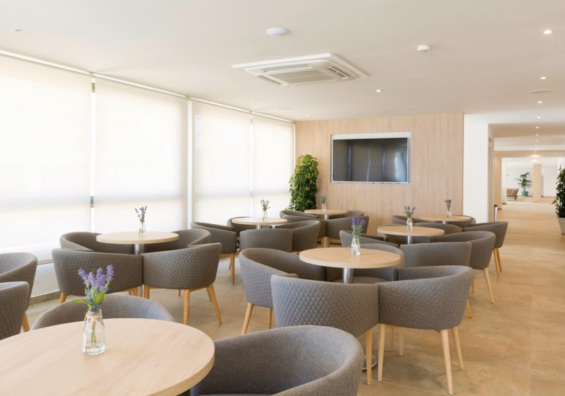 Kulinarik & Restaurants