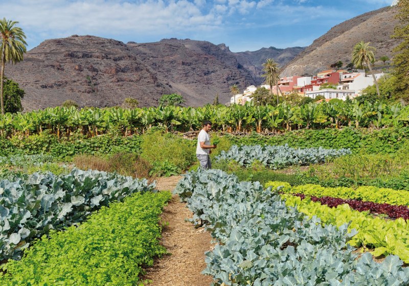 Kulinarik & Restaurants