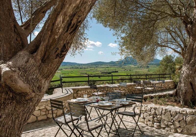 Kulinarik & Restaurants