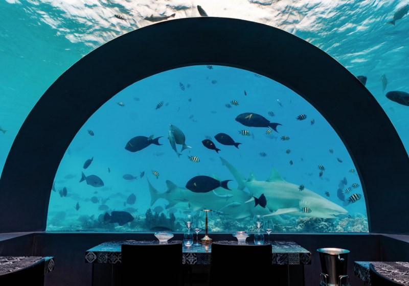 Kulinarik & Restaurants