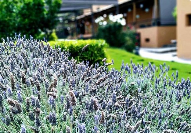 Aussenaufnahme Hotel