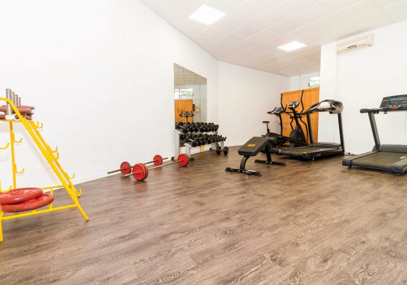 Beispiel: Sport & Fitness