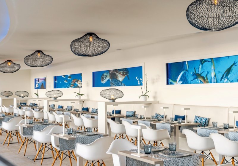 Kulinarik & Restaurants