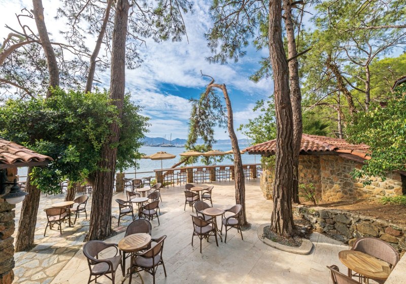 Kulinarik & Restaurants