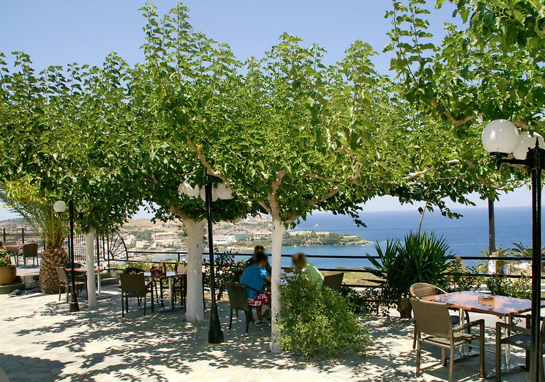 Kulinarik & Restaurants