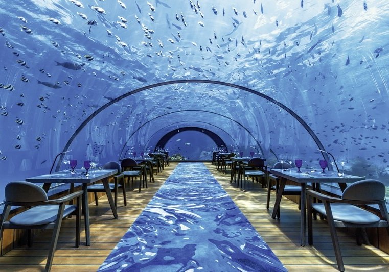 Kulinarik & Restaurants