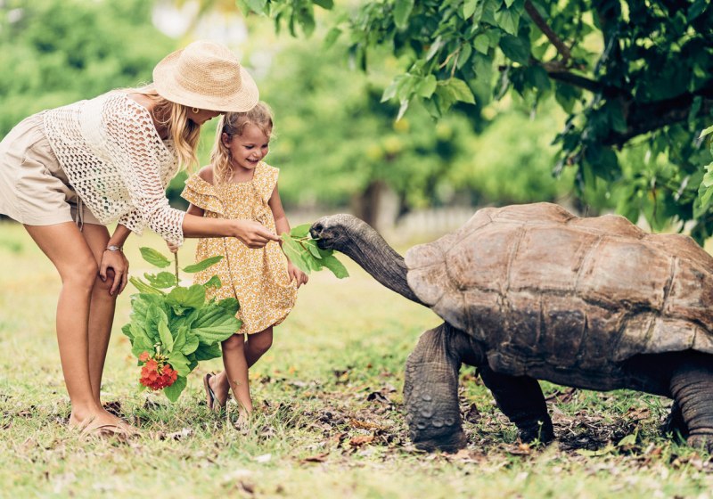 Four Seasons Resort Seychelles at Desroches Island