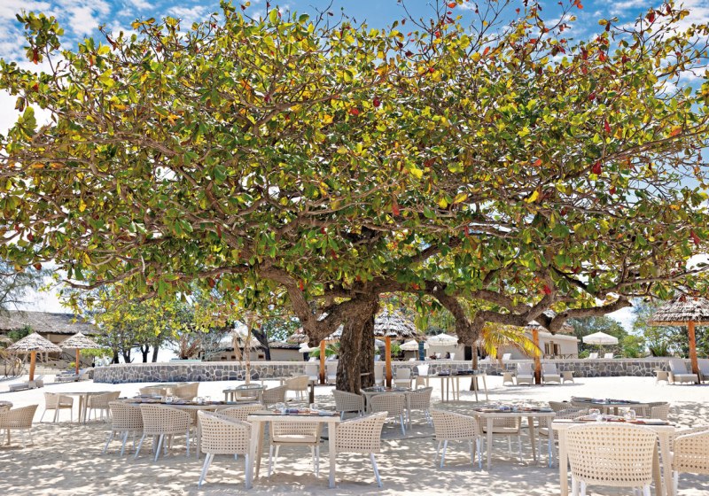 Kulinarik & Restaurants