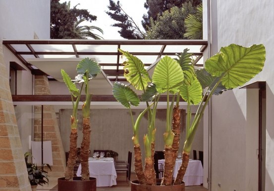 Kulinarik & Restaurants