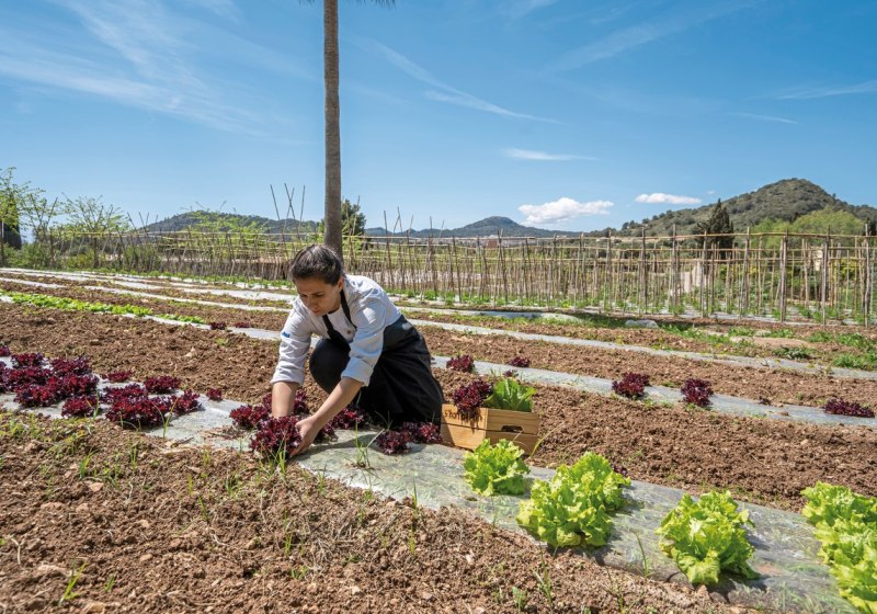 Kulinarik & Restaurants