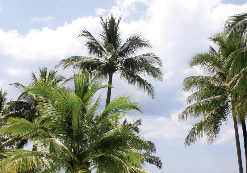 Khao Lak Palm Beach Resort