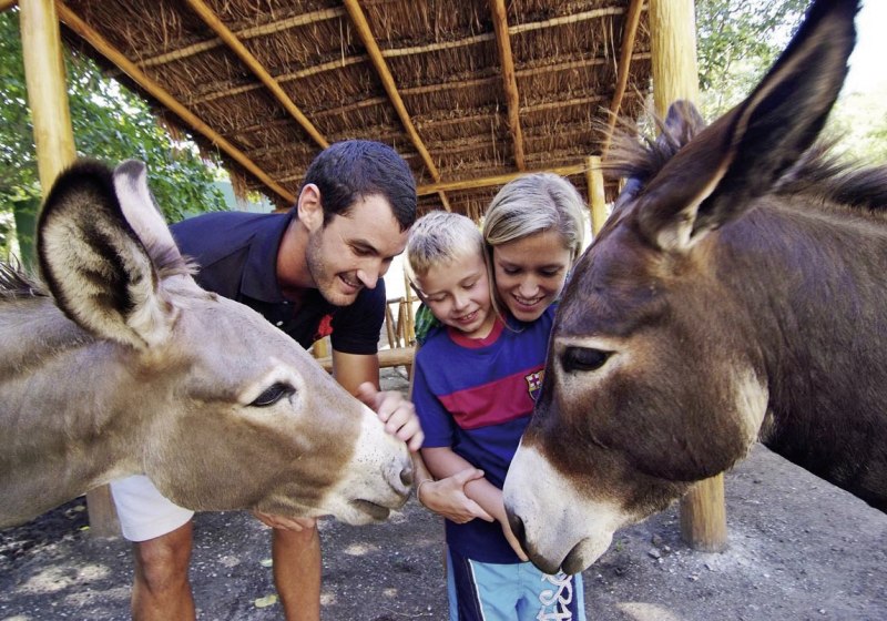 Kulinarik & Restaurants