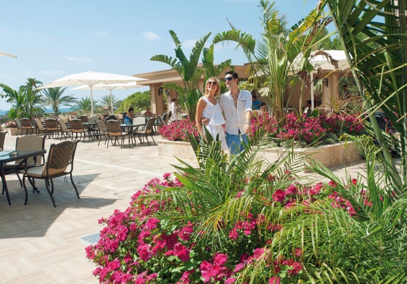 Kulinarik & Restaurants