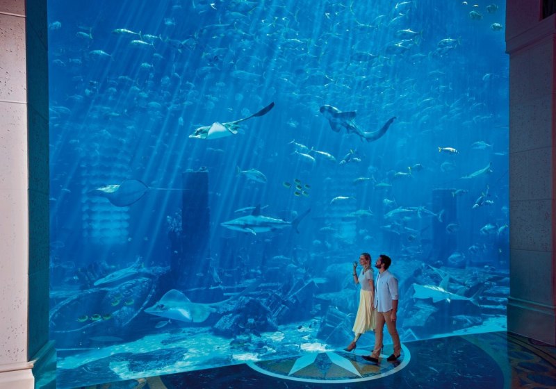 Ausstattung & Service