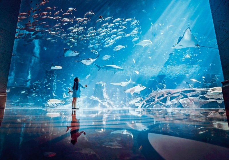 Unterhaltung & Entertainment