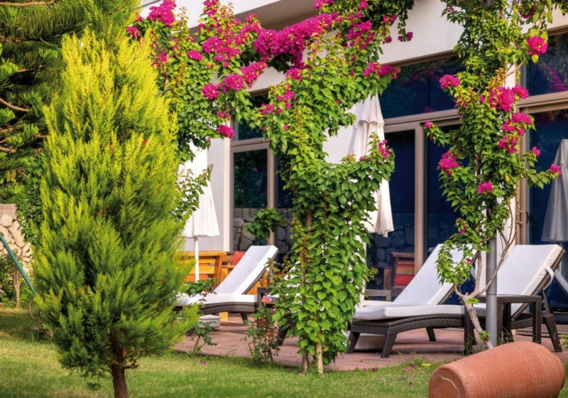 Aussenaufnahme Hotel