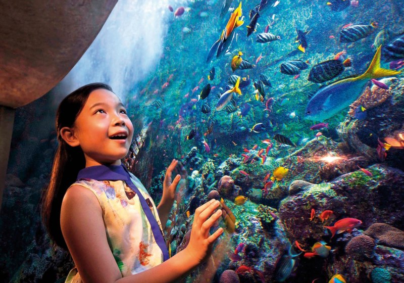 Unterhaltung & Entertainment