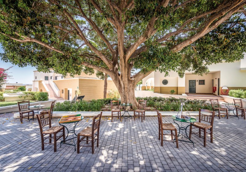 Kulinarik & Restaurants