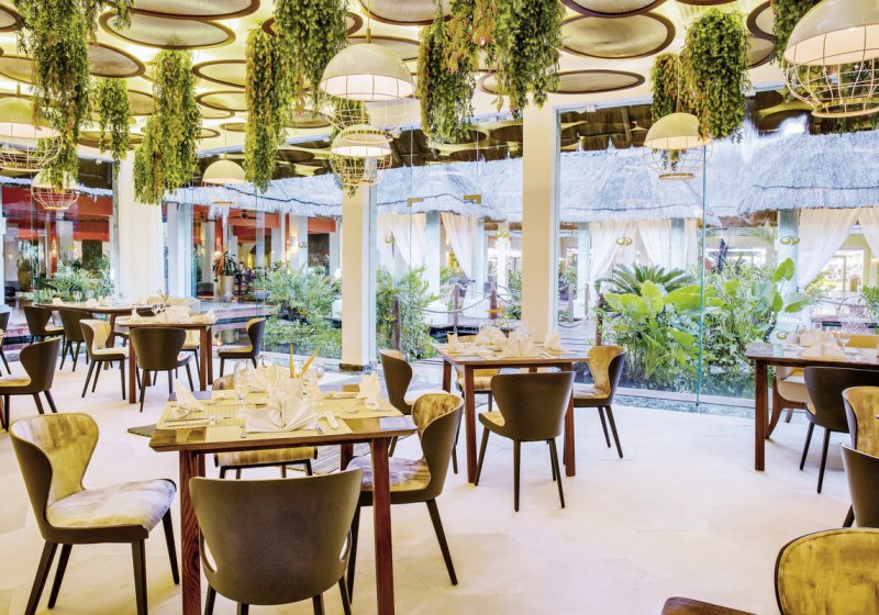 Beispiel: Kulinarik & Restaurants