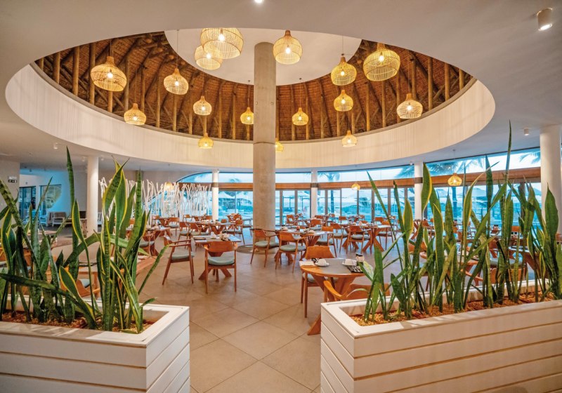 Kulinarik & Restaurants