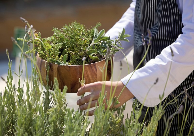 Kulinarik & Restaurants