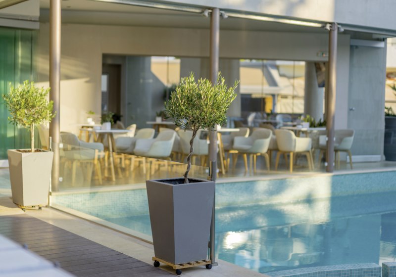 Kulinarik & Restaurants