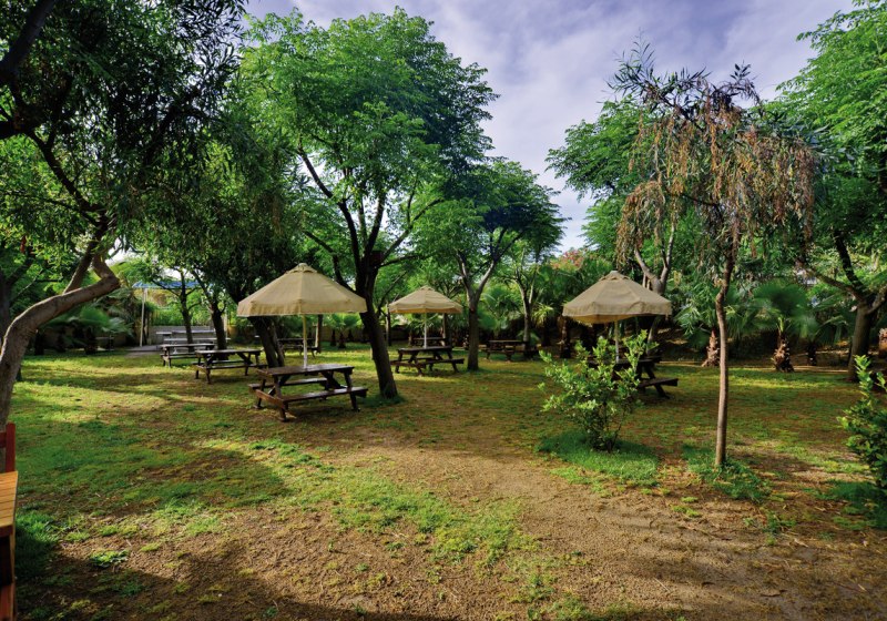 Kulinarik & Restaurants