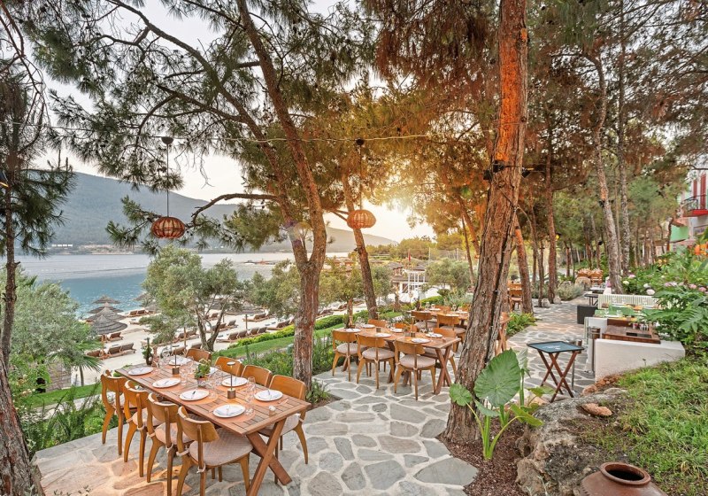 Kulinarik & Restaurants