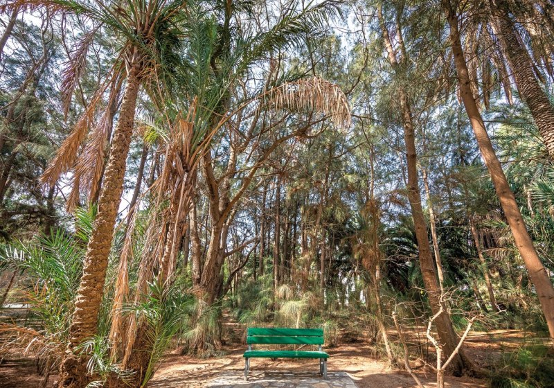 Kulinarik & Restaurants