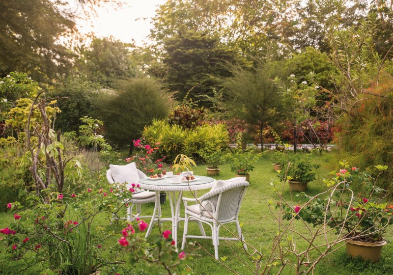 Kulinarik & Restaurants