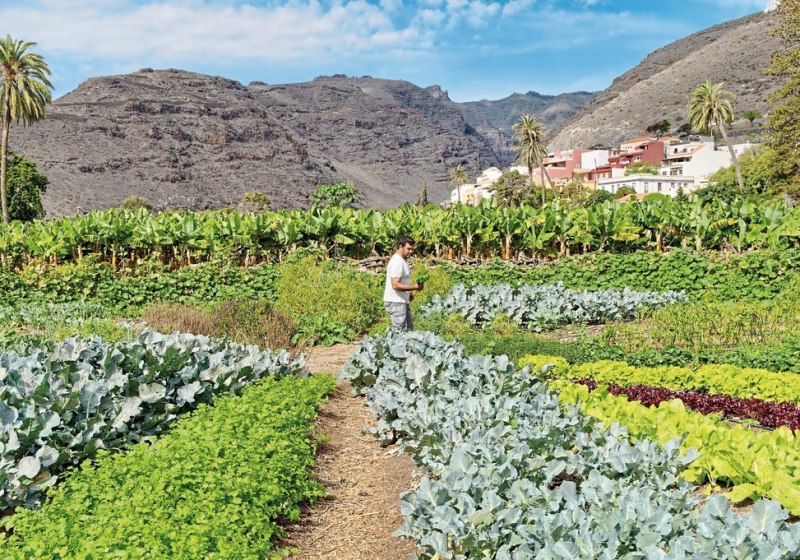 Kulinarik & Restaurants